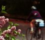 Tipy pro cyklisty alergiky