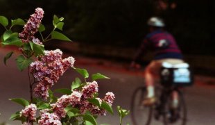 Tipy pro cyklisty alergiky