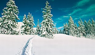 Tip na zimu: backcountry běžkování