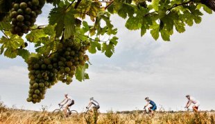Na kole za kvalitním vínem v Evropě
