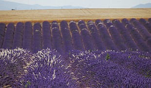 Sladká Provence je z kola nejkrásnější