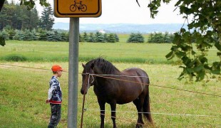 Dva světy a jeden les: cyklisté a jezdci na koních