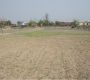 Affordable Residential Plot Available In Basai Enclave Gurgaon
