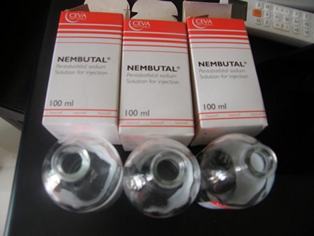 Koupit l�ky proti bolesti | Mdma, 2CB, A-PVP, 3CMC | OZEMPIC | STEROIDY (ext�ze/nembutal) | Heroin Kokain (ID telegramu: @Loyaltyco)