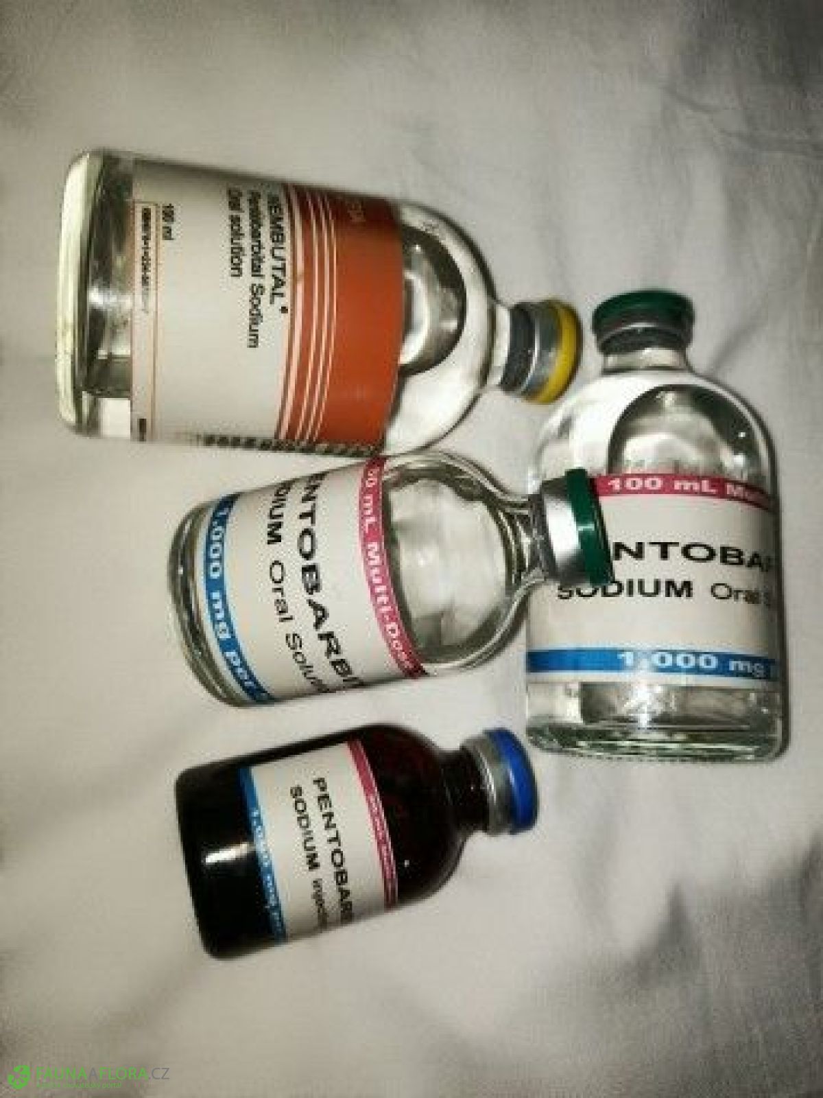 {Telegram @Frink002}Buy Nembutal Sodium, Mandrax Online Buy Quaalude (Methaqualone) Pills