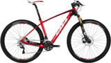 BH Ultimate RC 29er 8.9